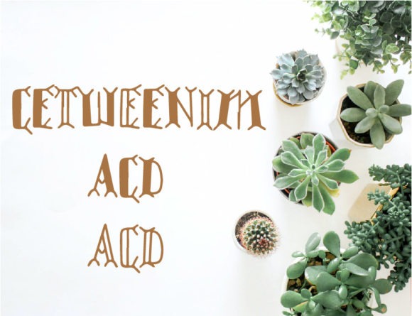 Cetweenim: The Playful Display Font That Commands Attention