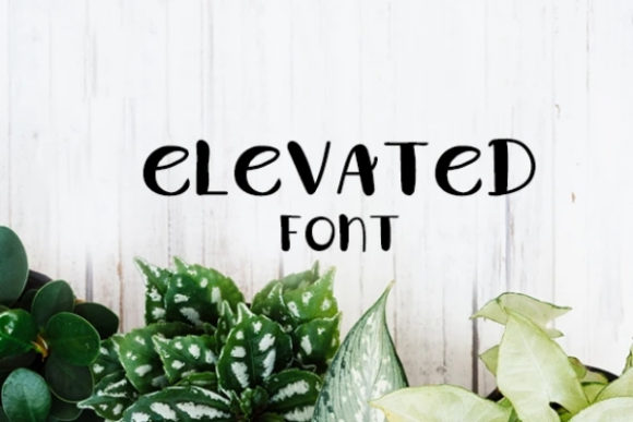 Elevated: A Playful Display Font for Engaging Editorial Design