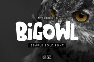 Exploring Big Owl: A Bold and Playful Display Font