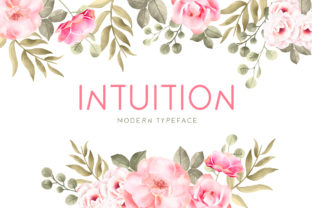 Introducing Intuition: A Cute Display Font for Crafts & Commerce