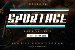 Sportage Font: A Designer’s Honest Review After Real Branding Work
