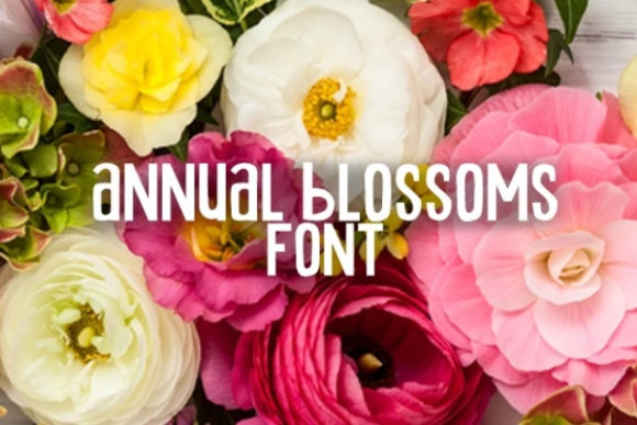 Why Annual Blossom Became Our Brand's Favorite Font