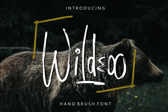 Wildeoo: A Brush Pen Font That Brings Branding to Life